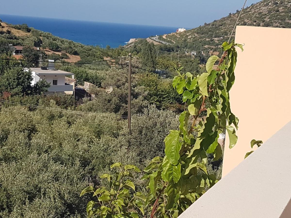 Sea Flower Villa Bali Crete Vlikhádha 외부 사진