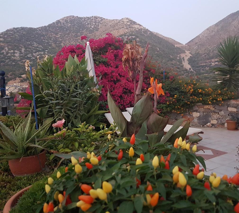 Sea Flower Villa Bali Crete Vlikhádha 외부 사진