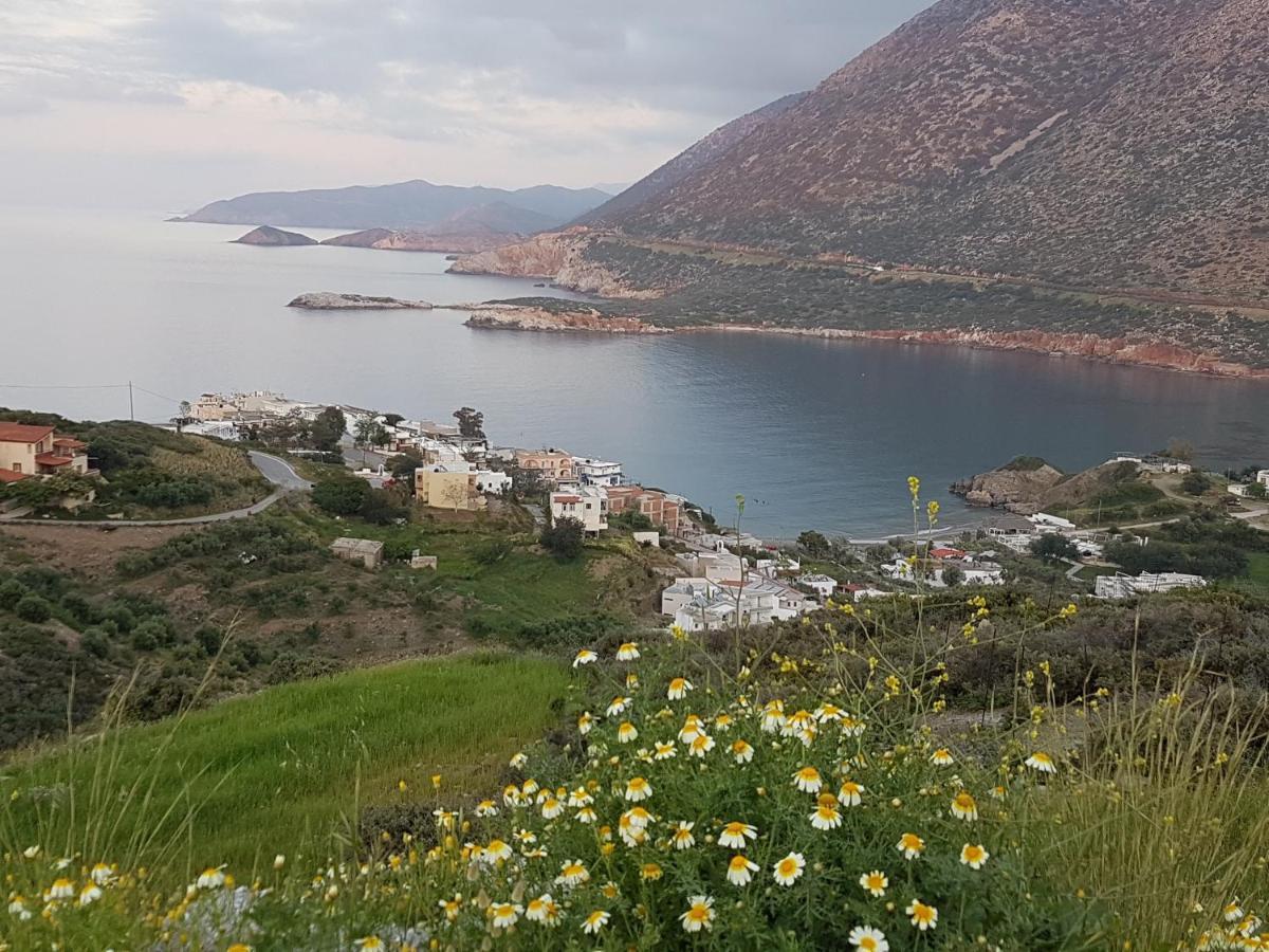 Sea Flower Villa Bali Crete Vlikhádha 외부 사진