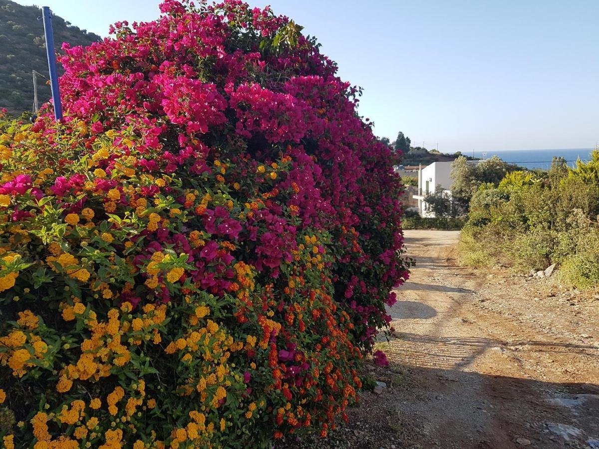 Sea Flower Villa Bali Crete Vlikhádha 외부 사진